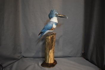 Life sized King Fisher, 400.00$